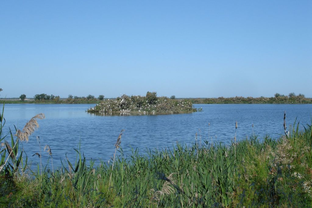 Cádiz | Sendero Cerro del Águila