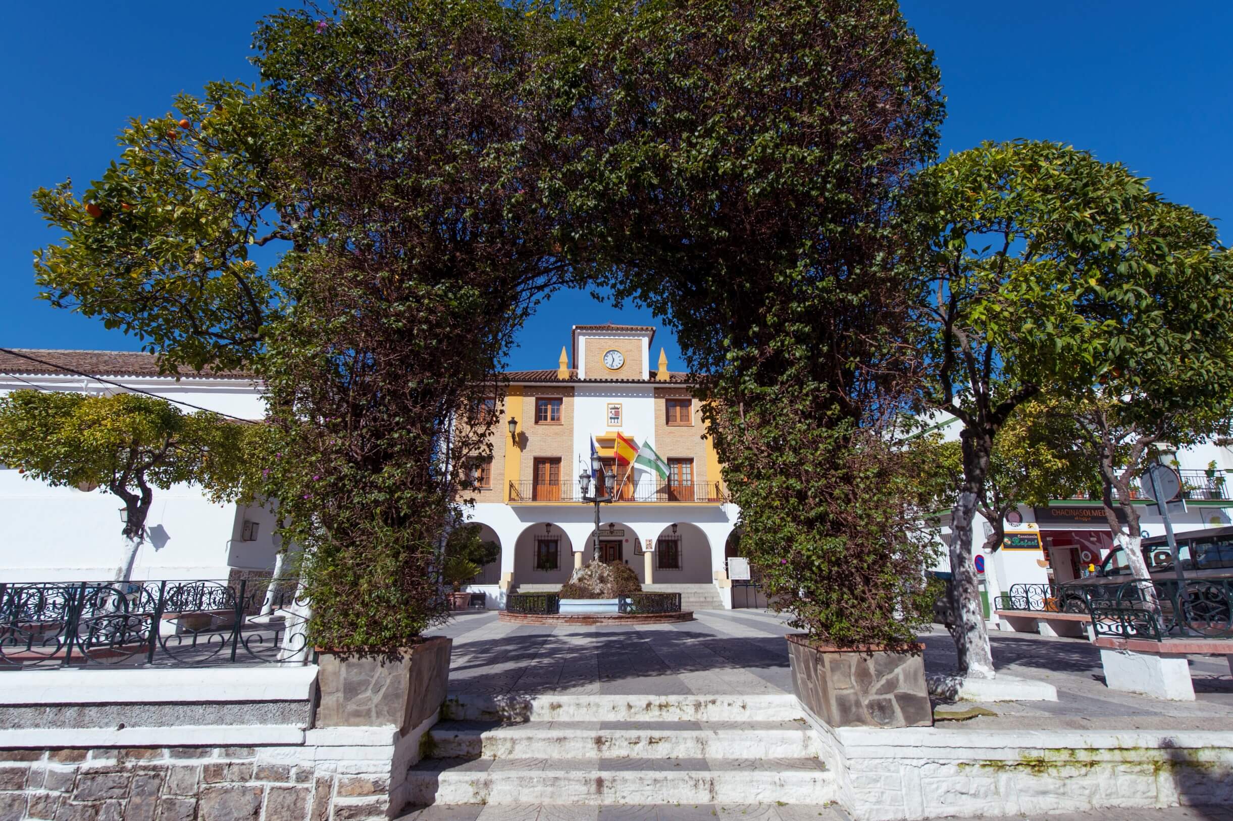 Cádiz El Bosque 7498